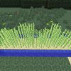 Как вырастить сахарный тростник в Майкрафт