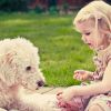 Польза дружбы детей и домашних животных