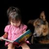Как помочь ребенку преодолеть страх собак?