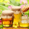 Пчелиный мед: польза и противопоказания
