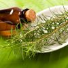 Масло чайного дерева: применение и полезные свойства