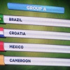 ЧМ 2014 по футболу: как прошел матч Мексика-Камерун 