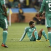ЧМ 2014 по футболу: как проходил матч Иран - Нигерия