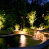 Садовое освещение: как подсветить дорожки, растения и водоемы