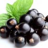 Как использовать черную смородину для здоровья и красоты