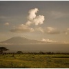 парк Амбосели - вид на Килиманджаро