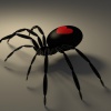 Почему нельзя убивать пауков в доме