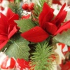 Пуансетия - рождественский цветок