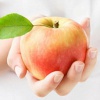 О пользе яблок для человеческого организма