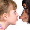 Действительно ли человек произошел от обезьяны, как мы привыкли думать?