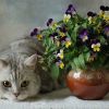 Важно защитить цветы от кошек и кошек от цветов