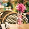Живые цветы в ресторане: красиво и хлопотно