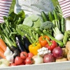Как правильно поливать овощи на грядках