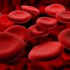 Как быстро можно поднять гемоглобин в крови
