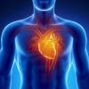 Защитить сердце от опасных факторов - значит продлить свою жизнь