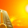 Как пережить летнюю жару