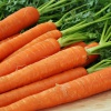 Морковная диета: как сбросить вес