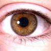 Как улучшить зрение без врачей и лекарств