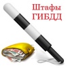 Как проверить штрафы по номеру автомобиля