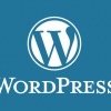 Как выбрать шаблон для Wordpress
