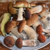 Как приготовить свежие грибы