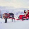 В Финляндию к Санта Клаусу