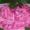 Теплый салат «Розовый фламинго»