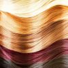  Шикарные волосы, насыщенный цвет: как выбрать средство для окраски?