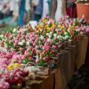 Нюансы цветочного бизнеса