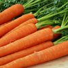 Все о моркови