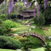 Маленькая Япония: сад в японском стиле