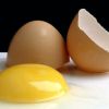 Как рассчитать вес яйца без скорлупы, белка и желтка