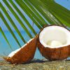 Как получить самим кокосовое молоко
