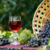Быстрое и вкусное вино из винограда 