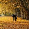 30 дел, которые надо успеть сделать осенью