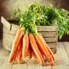 Как сохранить морковь до весны