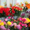 Как не попасть на уловки цветочных магазинов