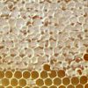 Как вылечить заболевания ротовой полости с помощью пчелиного забруса