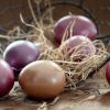 Что приготовить из вареных яиц после Пасхи