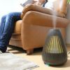Как увлажнить воздух в квартире без специальных устройств