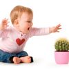 Как выбрать растения для детской комнаты