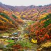 Южная Корея осенью