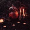Магические советы: ритуалы и обряды на Хэллоуин