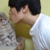Можно ли целовать кошек домашних
