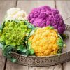 Цветная капуста в панировочных сухарях: пошаговые рецепты с фото для легкого приготовления