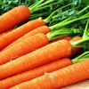 Морковь - сладкое лекарство