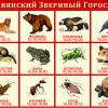 Славянский гороскоп животных по дате рождения