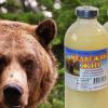 Как применять медвежий жир: лечебные свойства и противопоказания