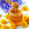 Как приготовить мед из одуванчиков 