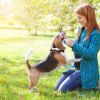 Пет-терапия, или Лечение с помощью домашних животных: общие сведения